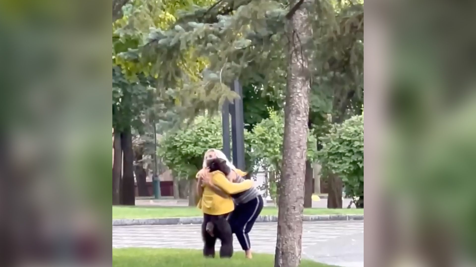  ������ �������� ����������� ������� �������� ��������� �������� ����� 