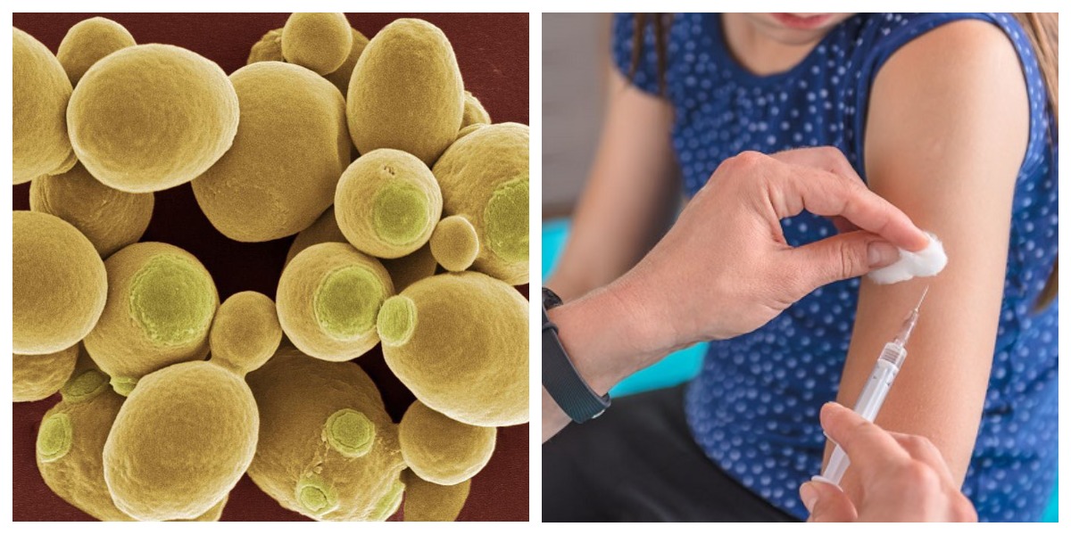  ���������� ���-��� ������ ������������� ������� ������������ ������� 