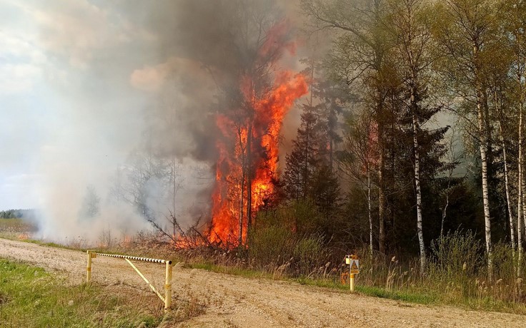  ��������� �������� ������� �������� �������� ���������� ����� ���� 