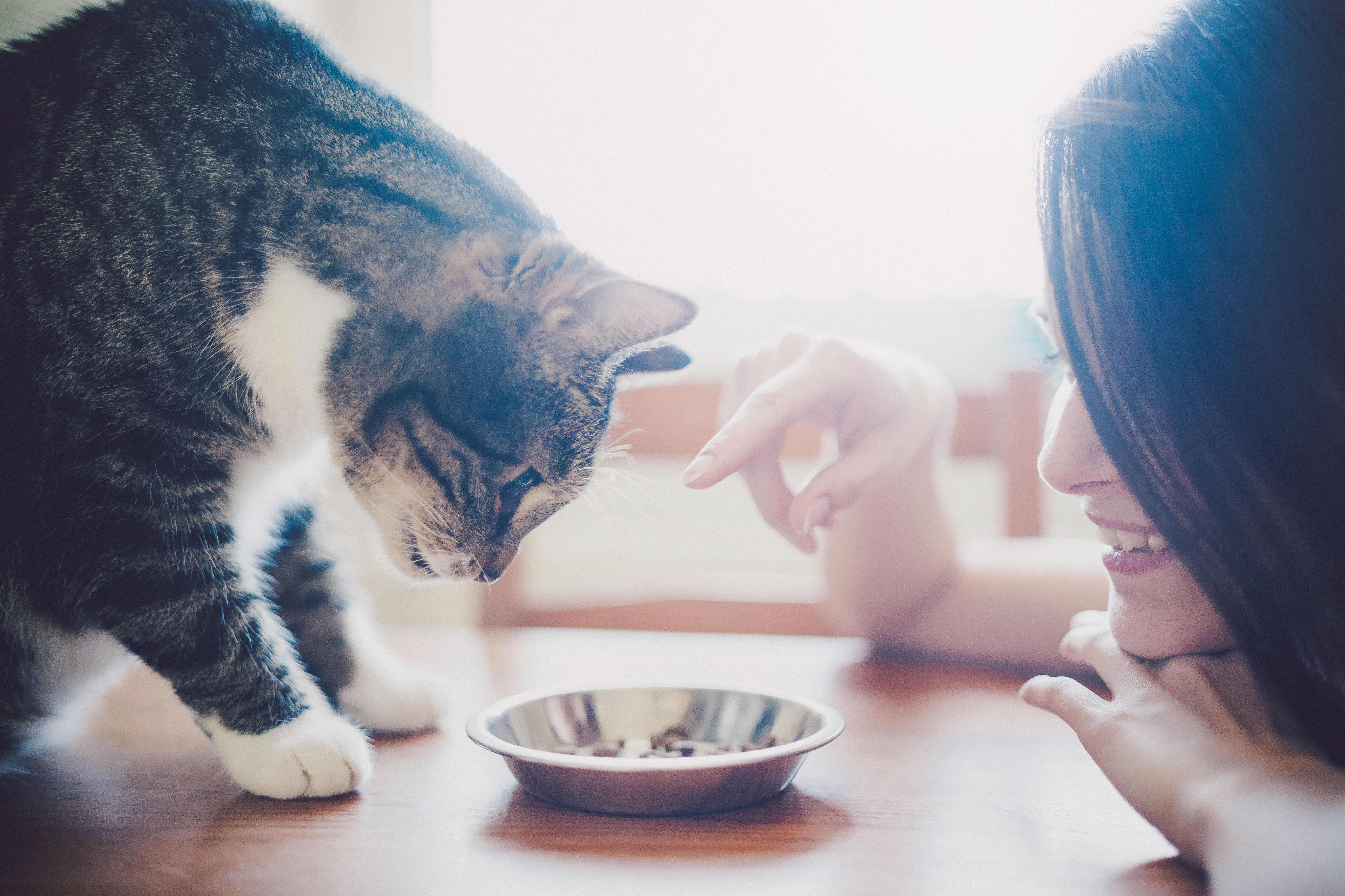 ����: focus.ua