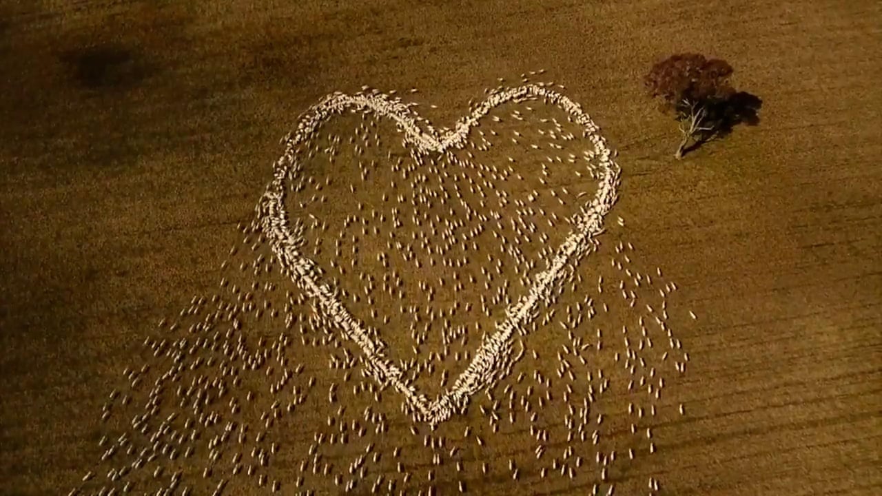  ������ ������ ������ ������� ���� ���� ���������� ������ 