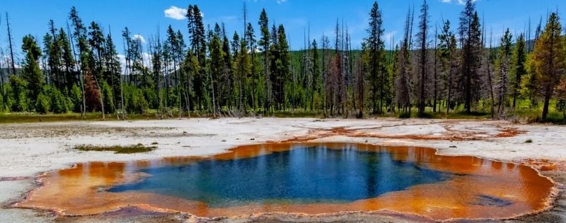  ������ �������� ������ ����� ������ ���������� �������� ����� 