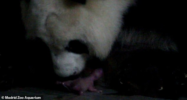  �������� ������� ����� ������ ��������� ����� 