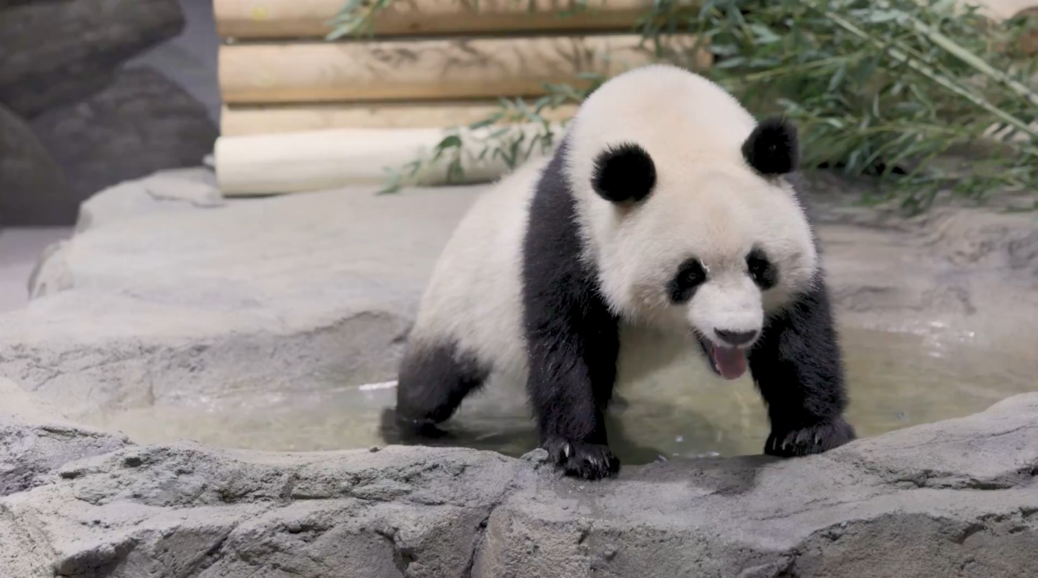  ������� ��������� ����� ������ ������ ��� ���� ����� 