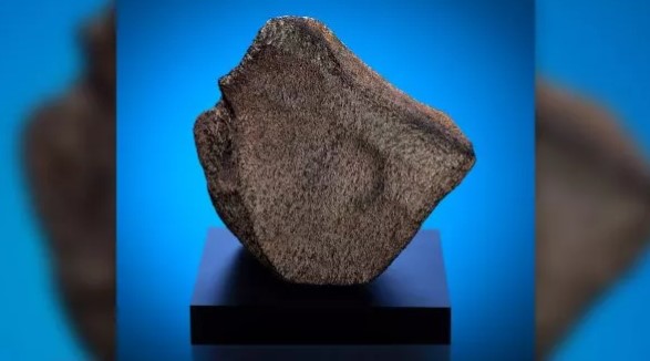  ��������� ����� ��� ������� �������� ����� ������� �������� 