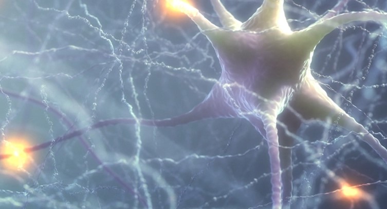  ������������ ������� ������� ������������� �������� ������� ������������� ������� 