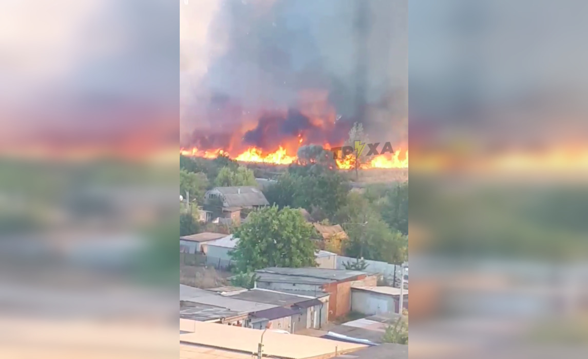  �������� �������� ���������� ����� ����� ����������� ����� ����� 