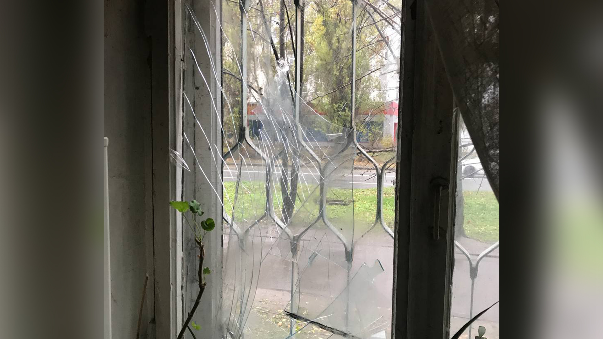  �������� ���� ������ ������������ 15-������ ������� ����� 