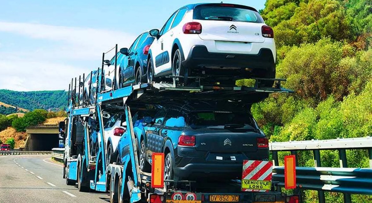  ������� �������������� �������� ���������� ���������� ���� �������� ������� 