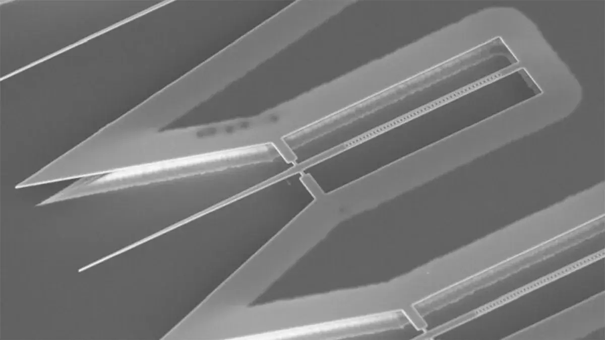 ����: focus.ua