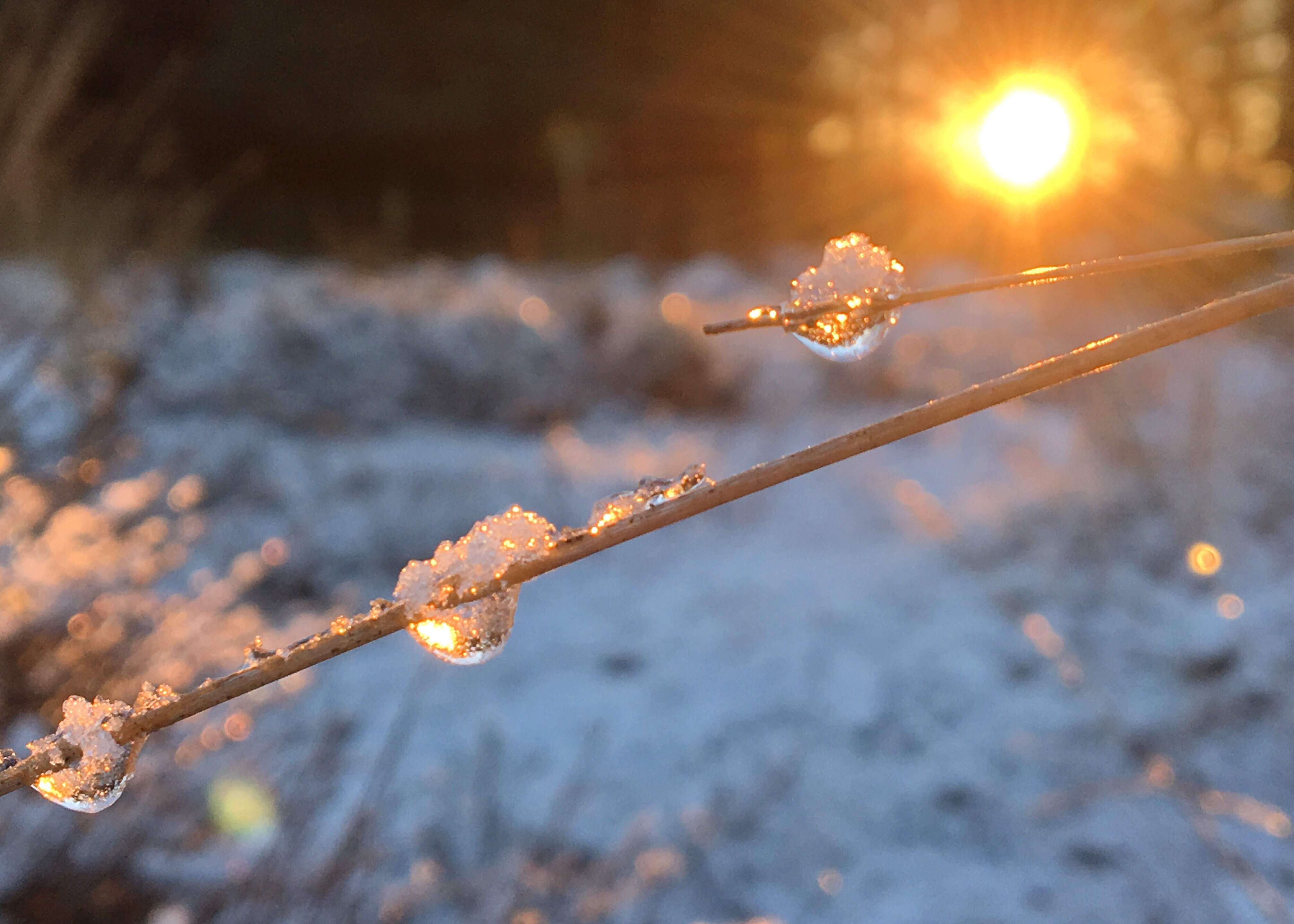 ����: focus.ua