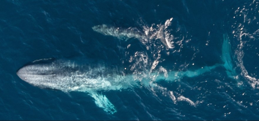 ����: focus.ua