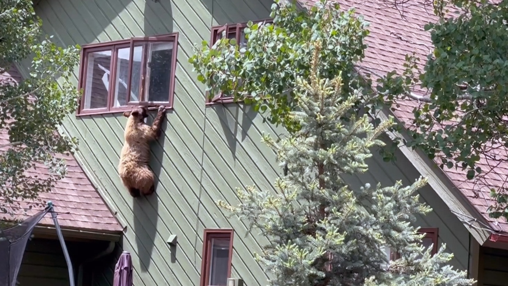  ��������� ������� ����� ��� ������ ���� ����� 