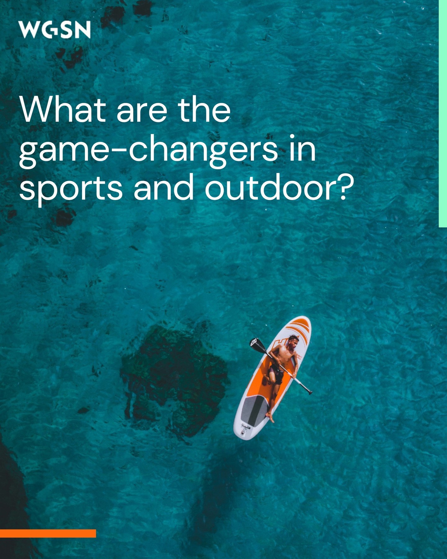  ��������� pantone ������ ���� 2024 ���� ����� 