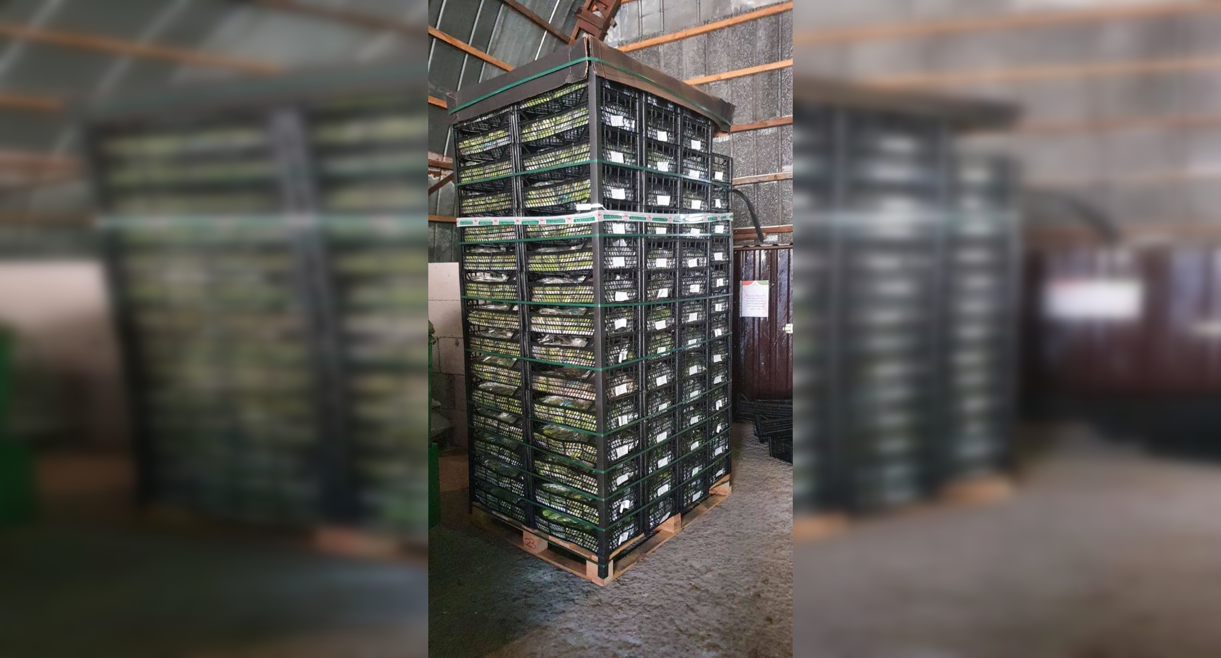 ����: focus.ua