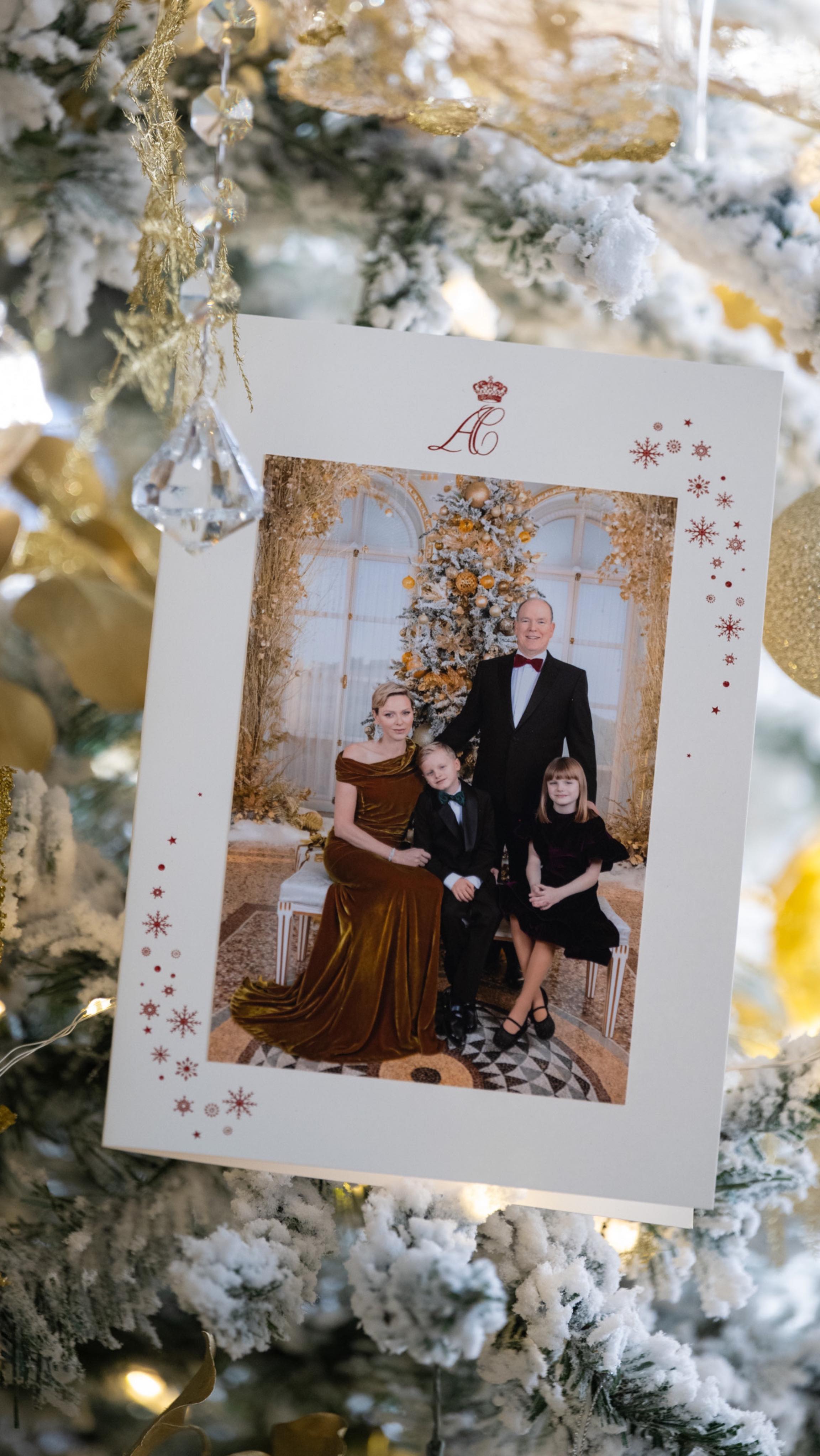  ������ ���� �������� �������������� ���� ������ ������ 