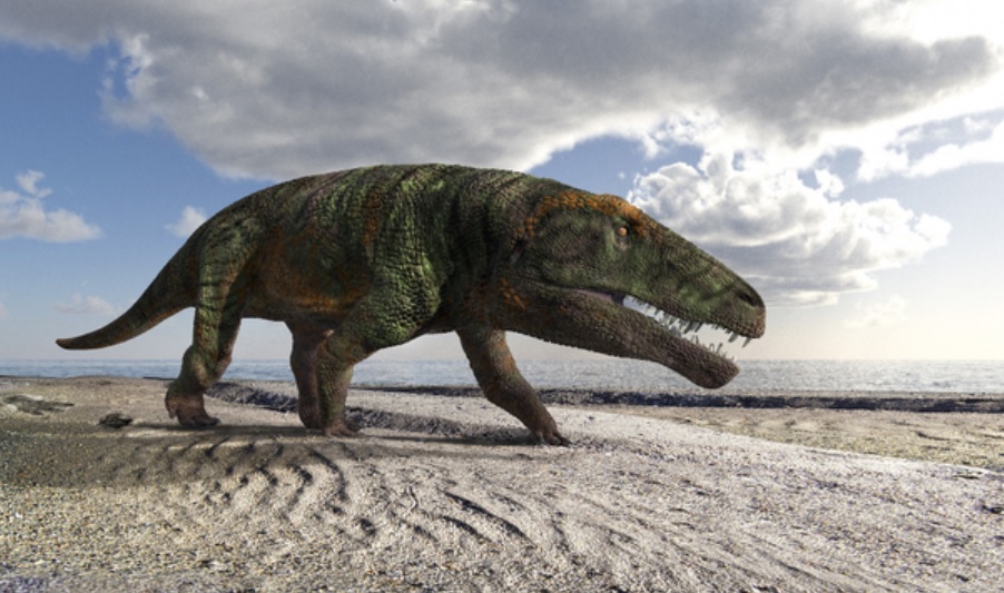  ������ ������ ������� ����� �������������� �������� ������� ��������� 