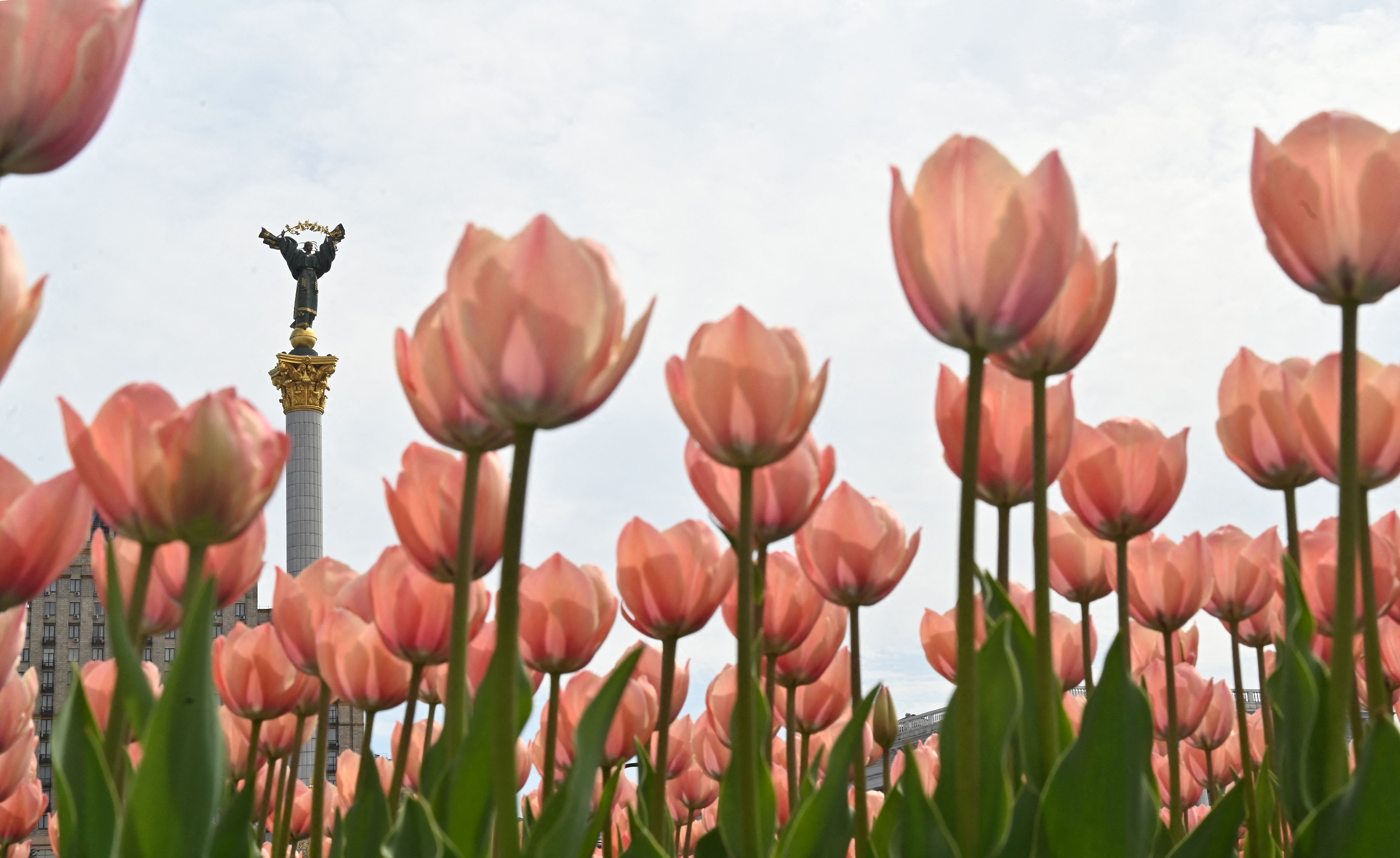  ������� ����������� ����� ���� ����������� ����� ��������� 