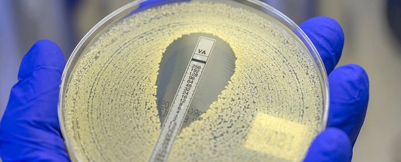  ����������� �������� ������ ���������� ������ ������� ������� ���������� 