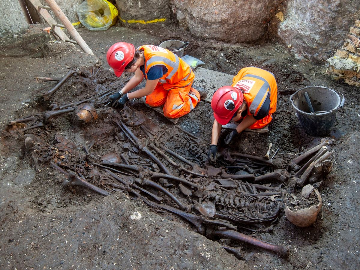  ������ ��� �������� ��������� ��������� ����������� ����� ������ 