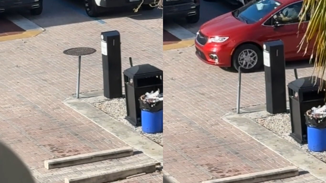  ���� ����� ��������� ���������� ������� �������� ��������� ����� 