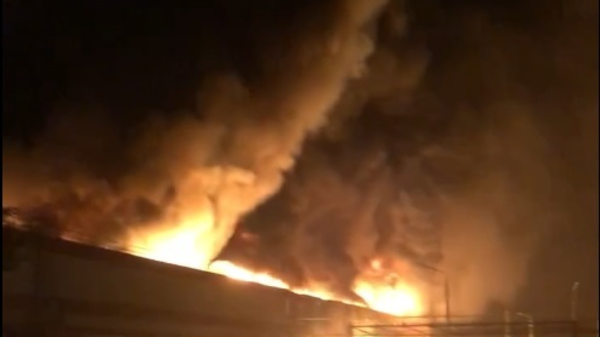  ���� ���� ���������� �������� �������� ���������� ����� ����� 