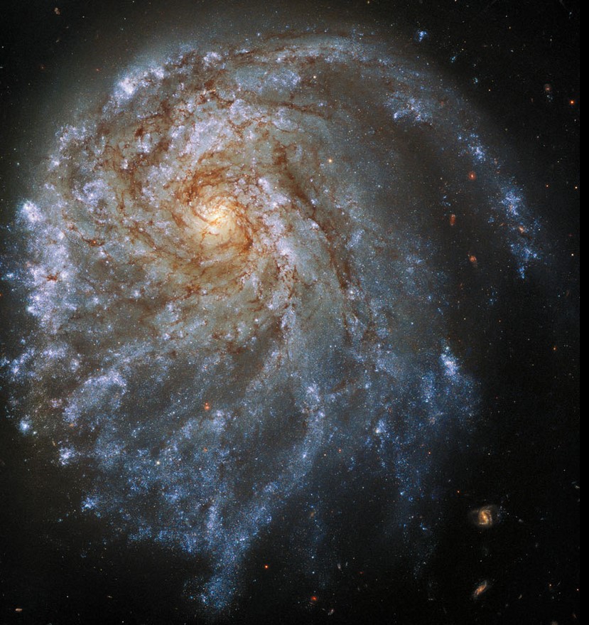  ������������ ��������� ��������� ���������� ����� �������� �������� ��������� 