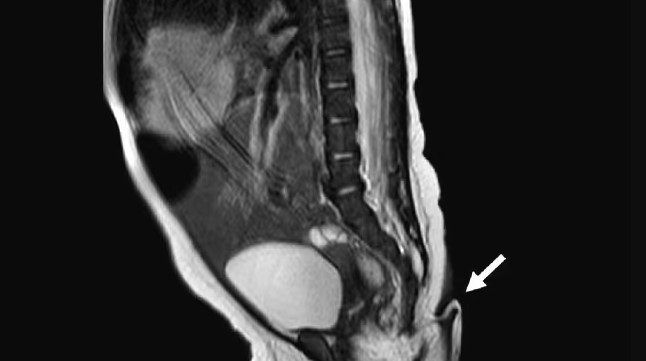 ����: focus.ua