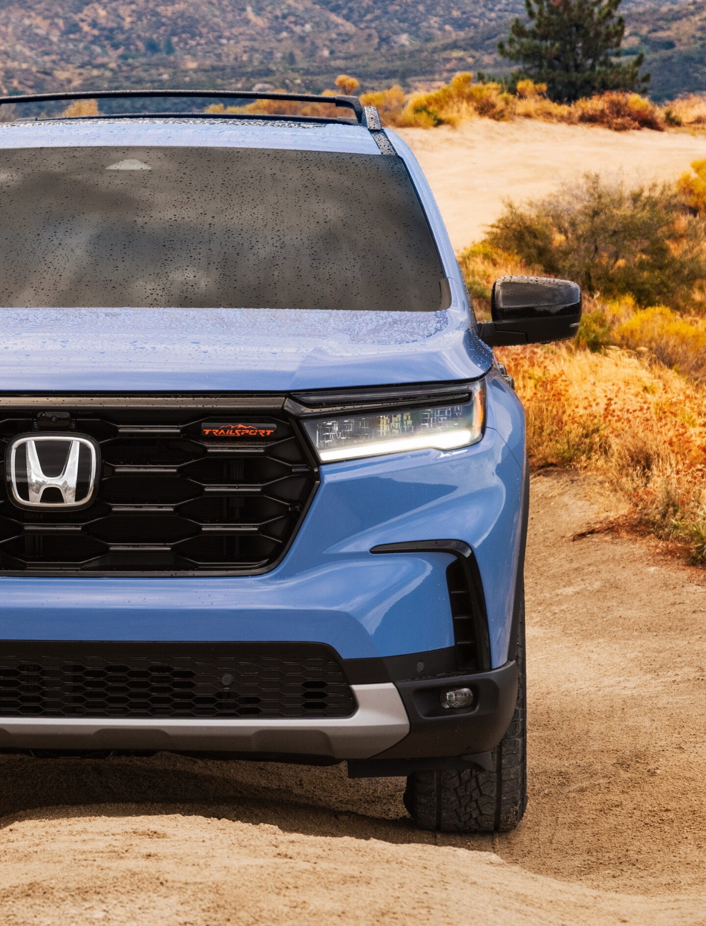 ����: focus.ua