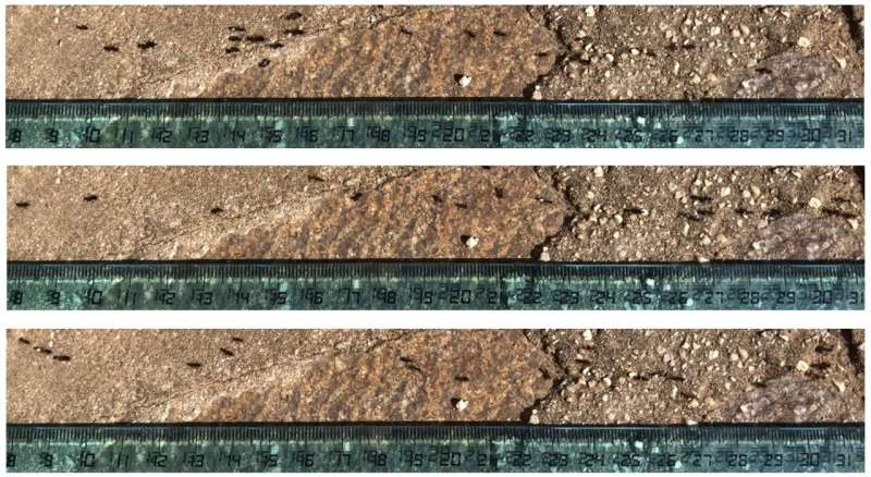 ����: focus.ua