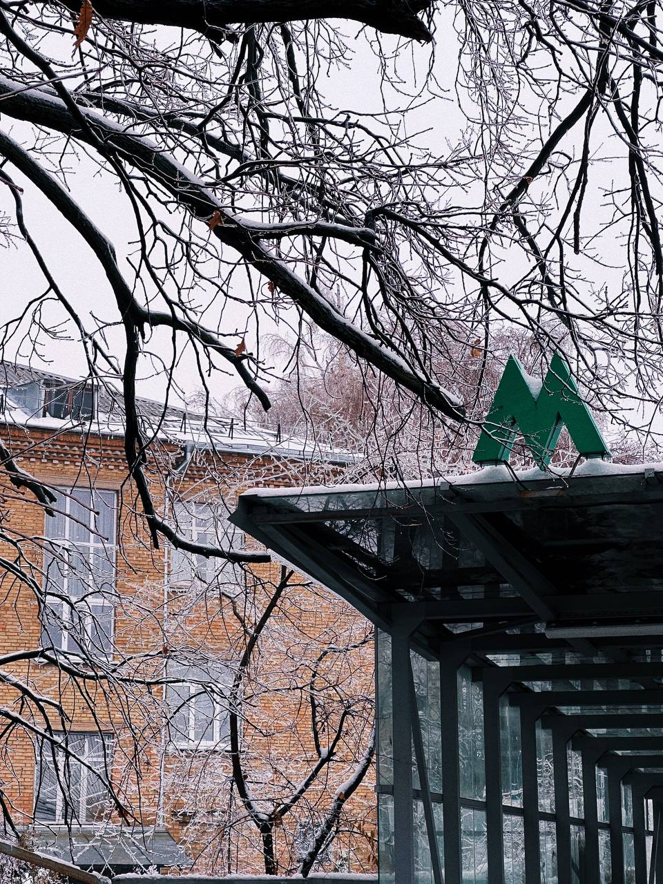  �������� ������ ����� �������� ������� ��������� �������� ���� 