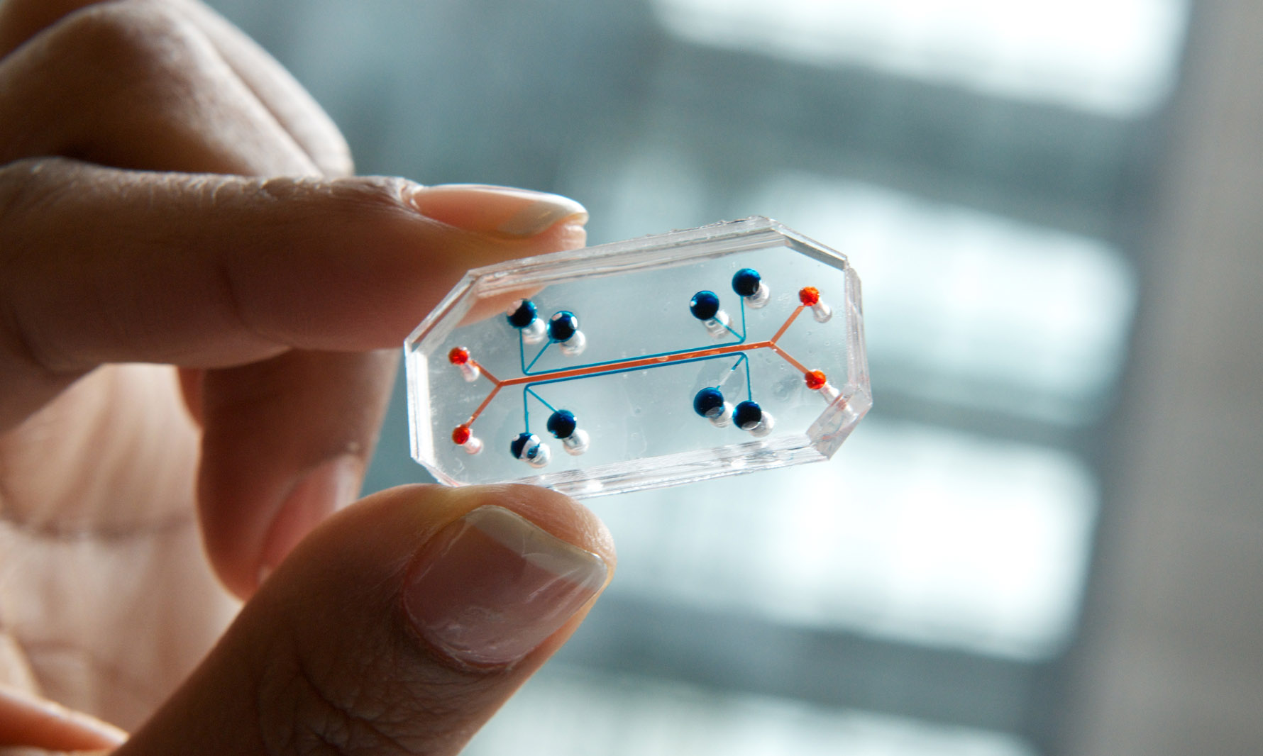 ����: focus.ua