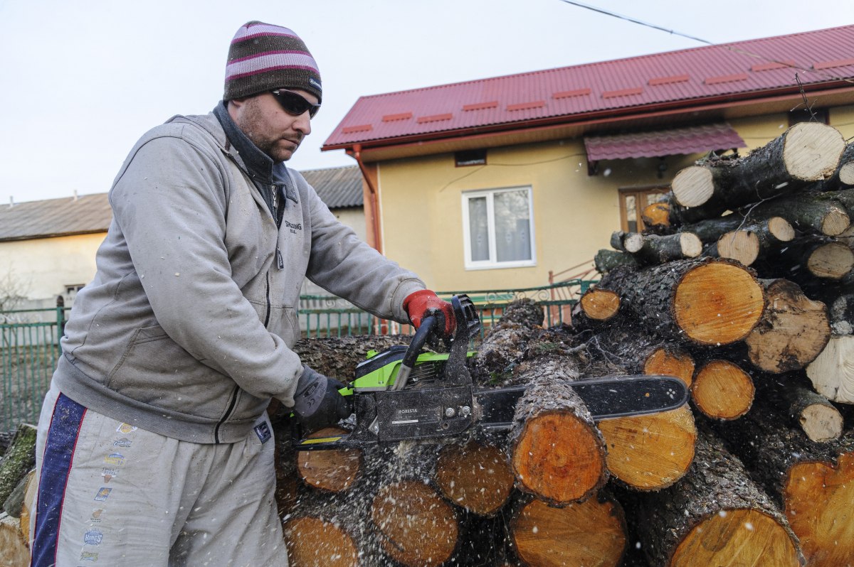  ���������� �������� ���� ������� �������� ����� ������ ����� 