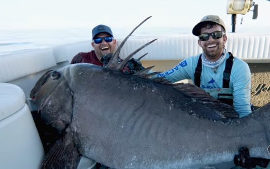  ������ ��� ������ �������� ����� ������ ������������� ����� 