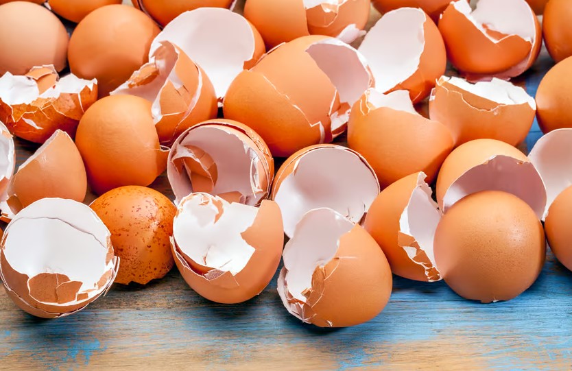  �������������� ������ ������ ����� ������ ������������� ������� ������������� 