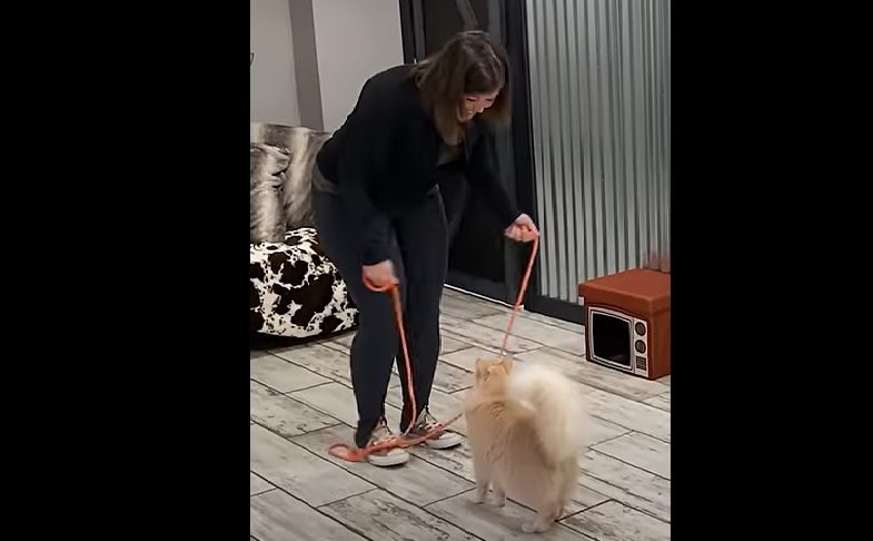 ����: focus.ua