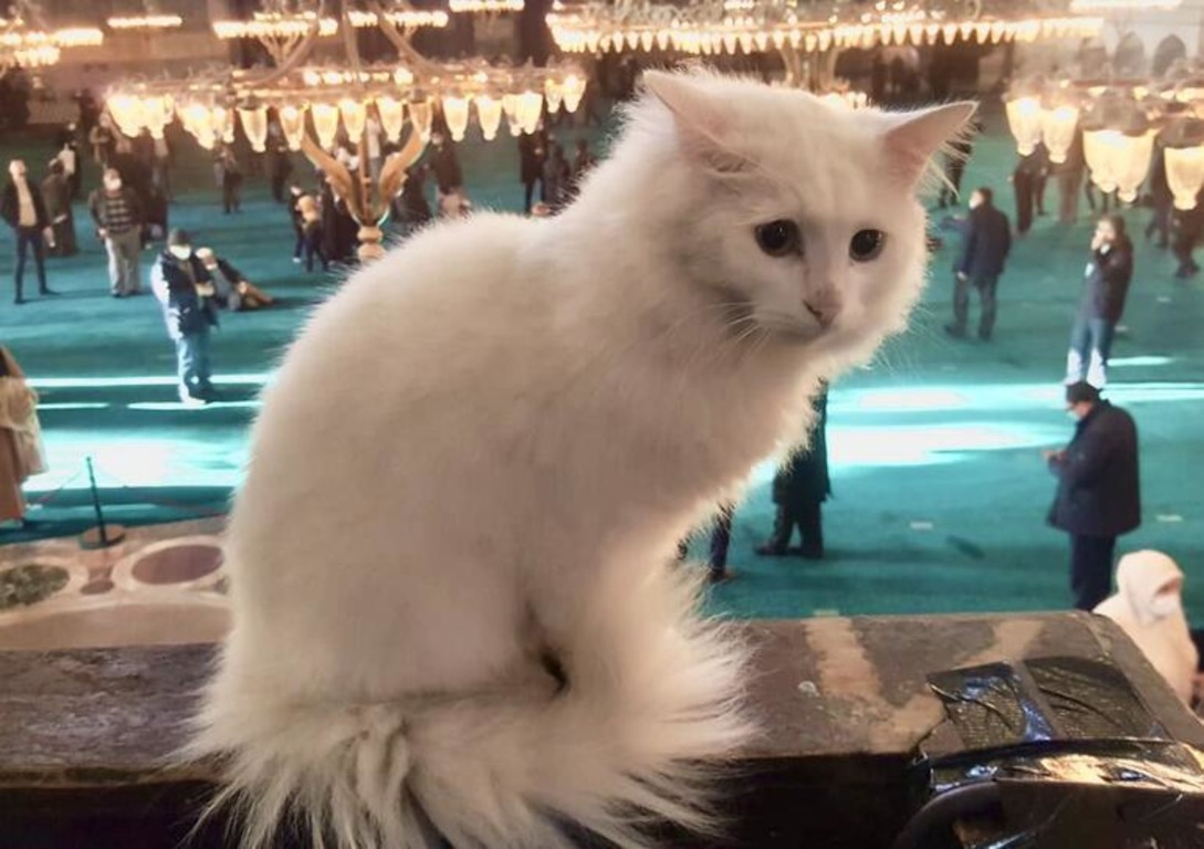  ����� ��������� ��� �������� ������ ����� ����� 