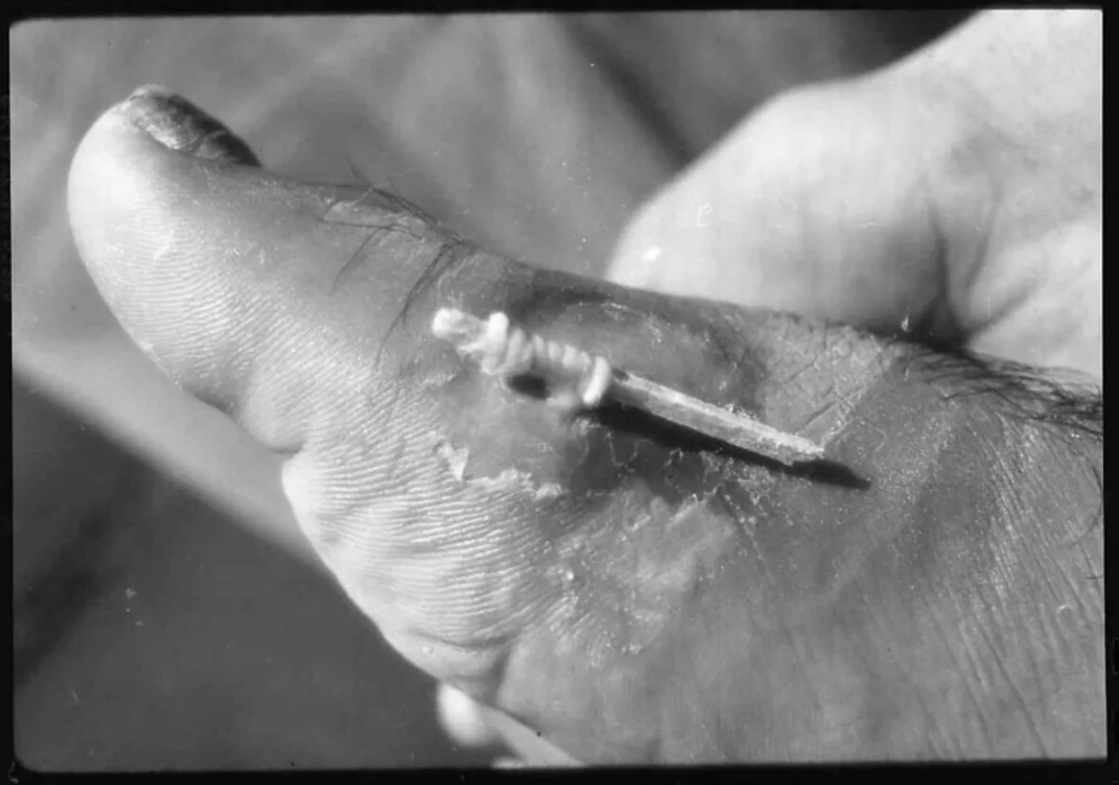  ���� ������������ ������� �������� ������ ��� ������� ����������� 