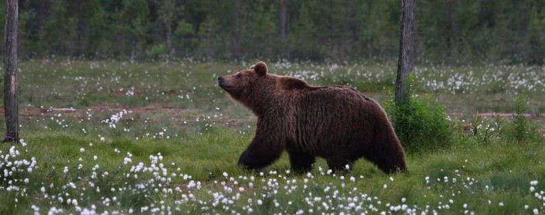  ������� ������ ��������� ������ 2022 