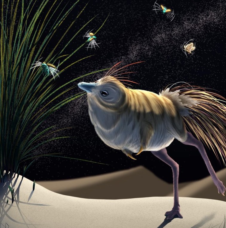  ���������� �������� ������� ������ ����� ���������� ��������� ���������� 