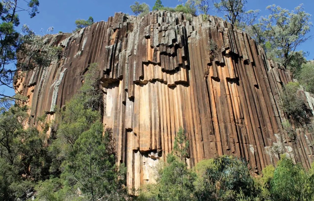  ������ ����� �������� ������� ����� ��������� �������� ������� 