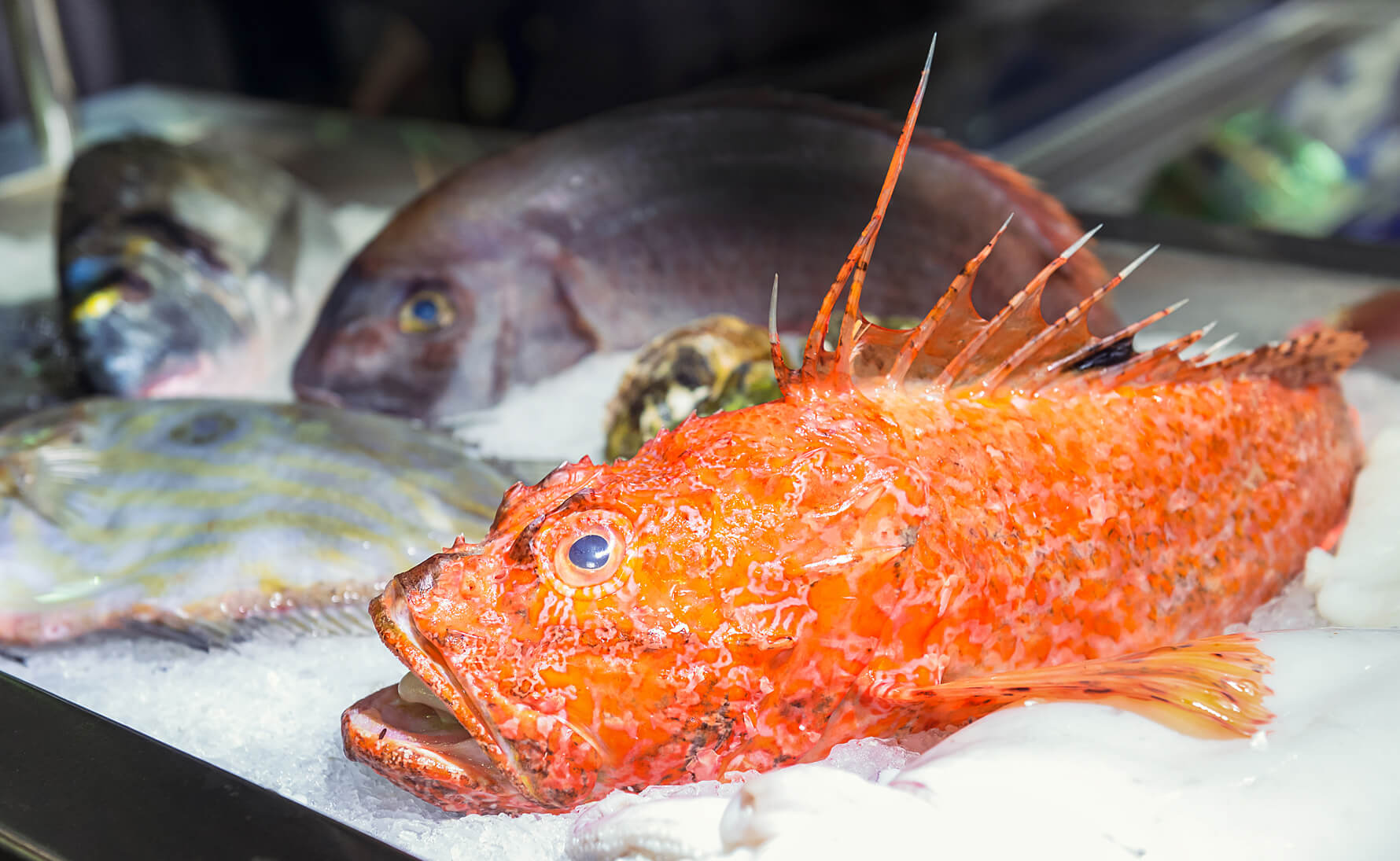 ����: focus.ua