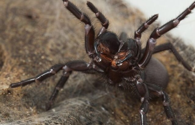  �������������� ������ ����� ������������ ���� ���� ������ ���� 