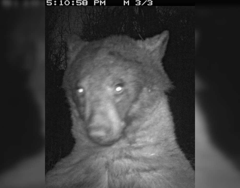  ������� ��������� 400 ����� ���� �������� ���� 