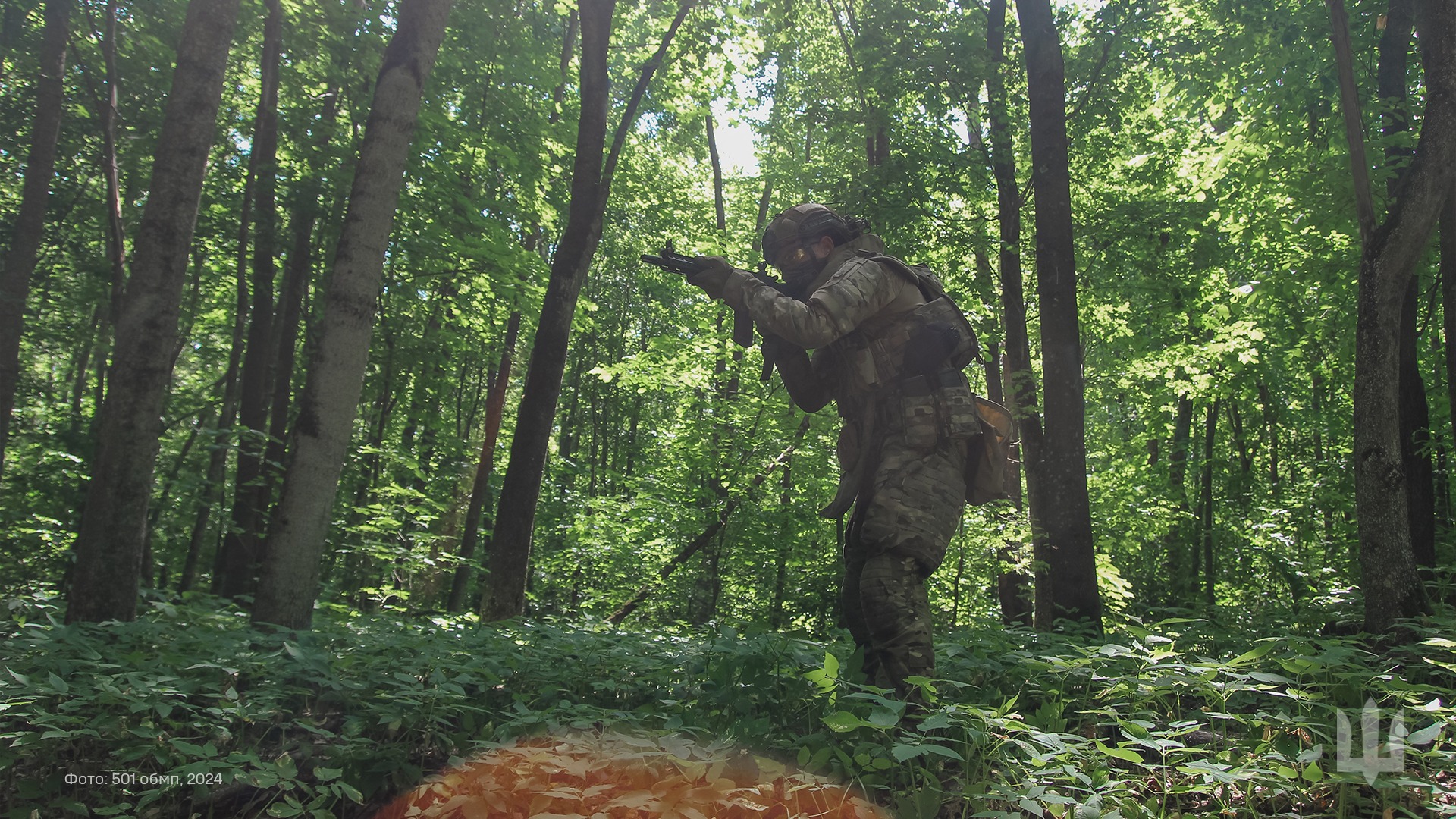  �������� ����� ��������� ������� ������ ����� ���� �������� 