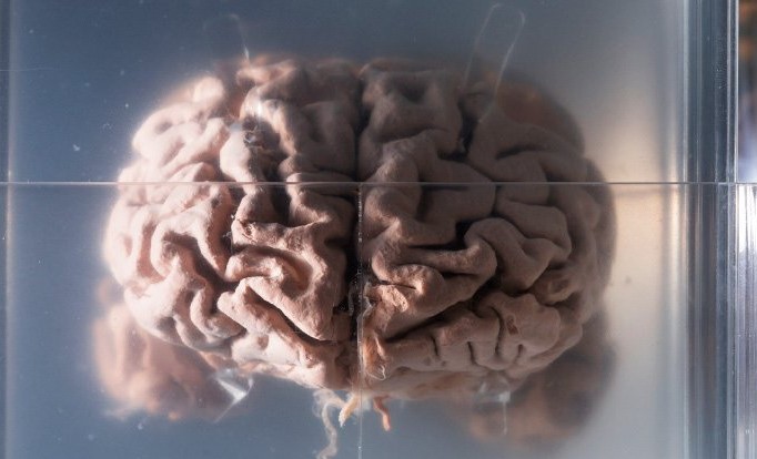  �������������� ����� ������ ����� ������ ������� ���� 