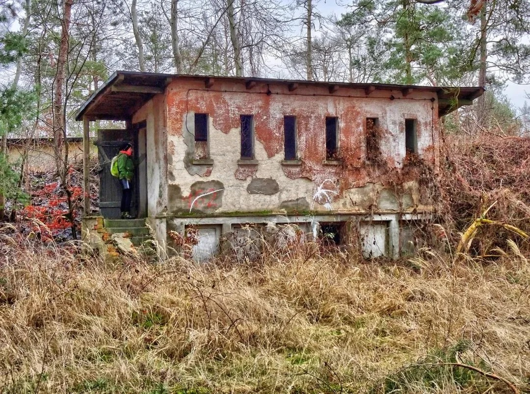 Жуткое наследие прошлого: девушка открыла тайны "леса смерти" (фото)
