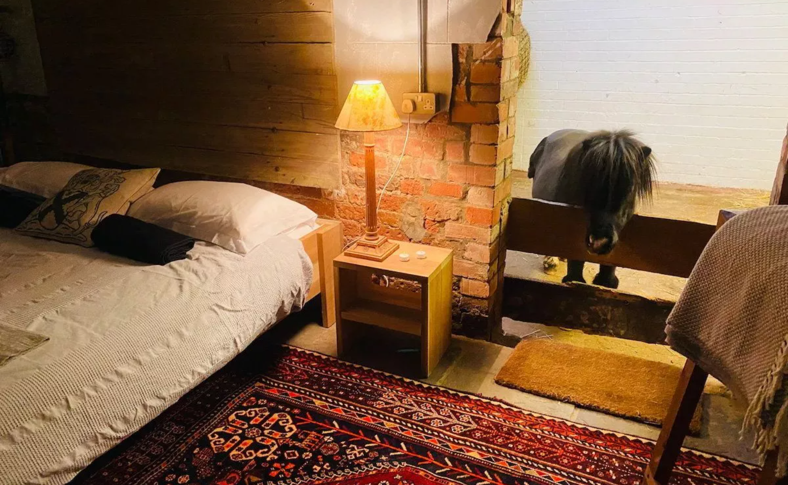 Необычное съемное жилье: гости спят рядом с очаровательным пони (фото)