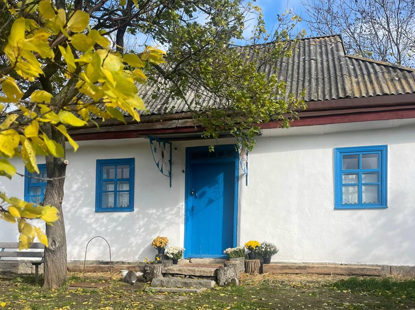 Можно сдавать в аренду: украинка возродила дом бабушки в селе — что внутри (фото)