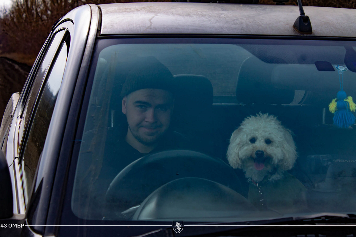 Гроза для врагов, терапевты для воинов: как животные помогают держать фронт (фото)